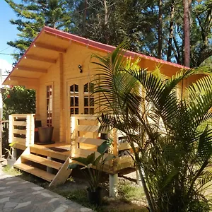 Mi Tia Yesy Chalet